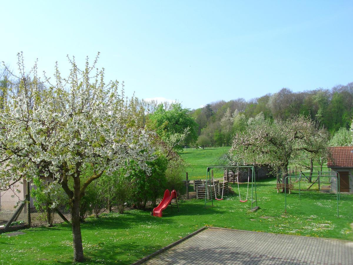 Gasthof Zur Frohen Einkehr Reichardsroth Bagian luar foto